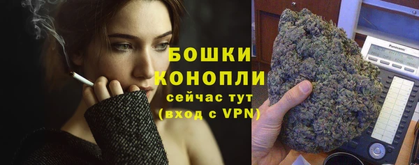 Альфа ПВП Белокуриха