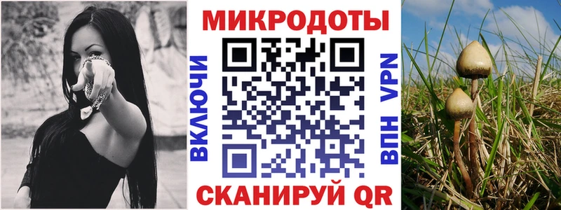 Псилоцибиновые грибы мицелий  Козельск 